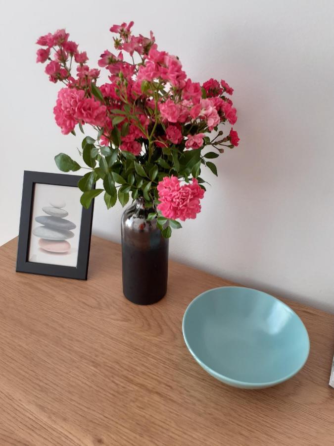 Central Belvedere Apartman Budapest Ngoại thất bức ảnh